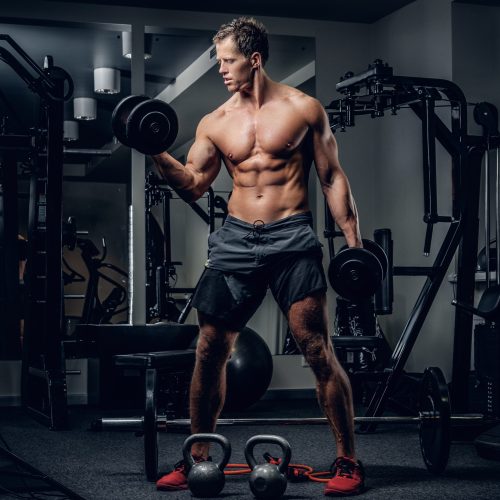 Full body portrait of athletic shirtless male doing biceps workouts with dumbbells in a gym club.
