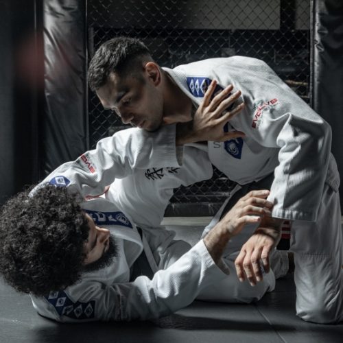 why-bjj-is-the-perfect-martial-art